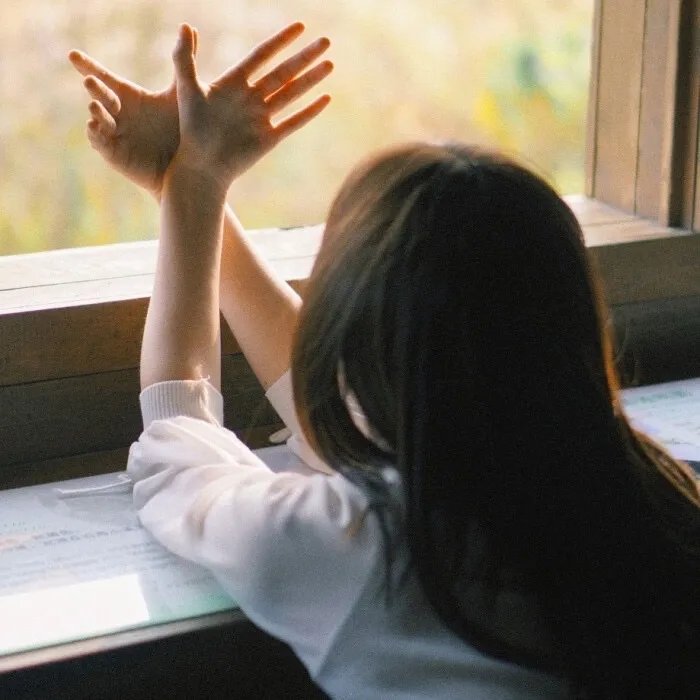 我的法宝都是规则系